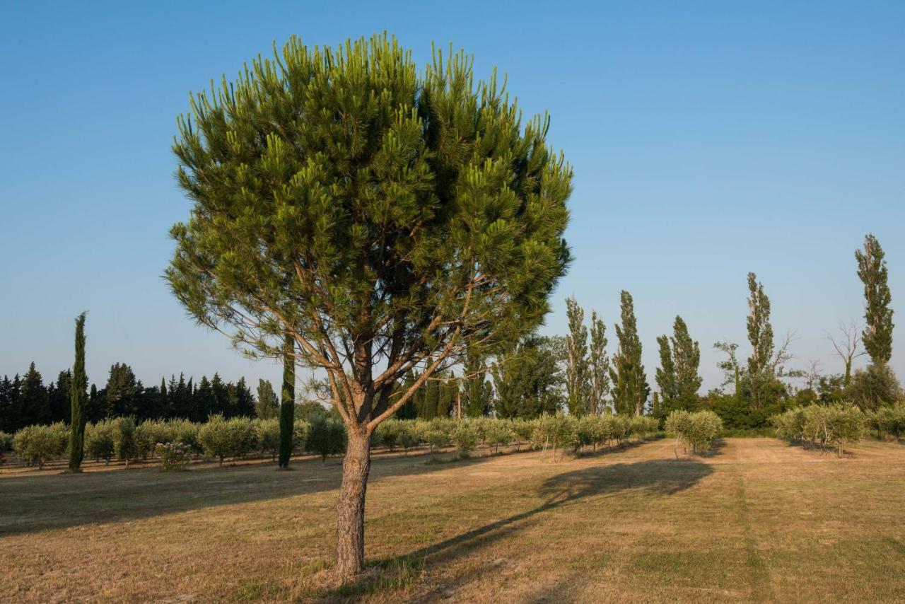 Bed and Breakfast Domaine De Fontbelle Graveson Exterior foto